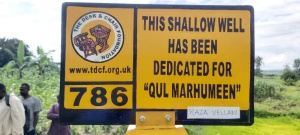 Well No 786