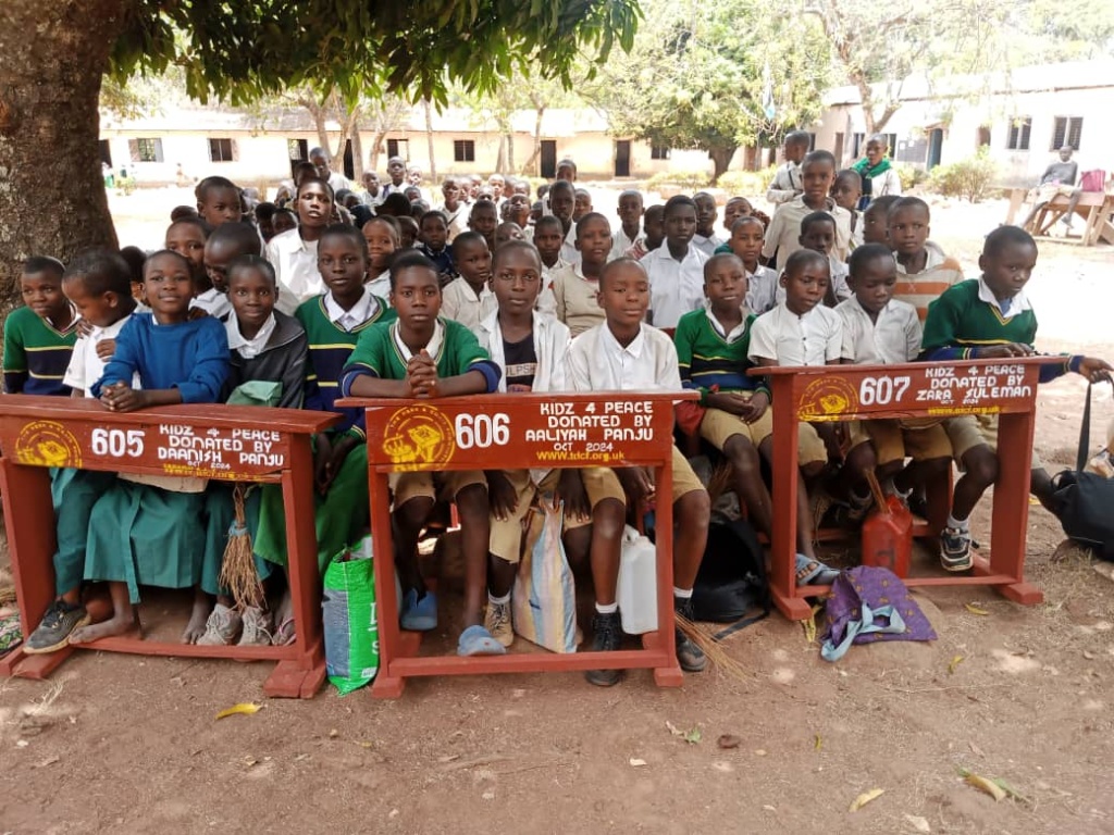 Desk Repairs in Ukerewe Island