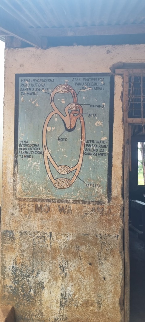 Desk Repairs in Ukerewe Island