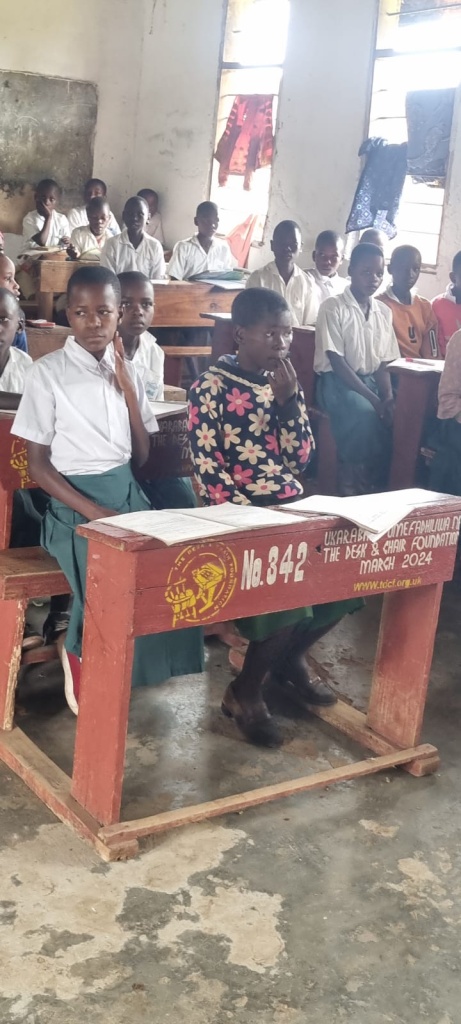 Desk Repairs in Ukerewe Island