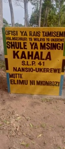 Desk Repairs in Ukerewe Island
