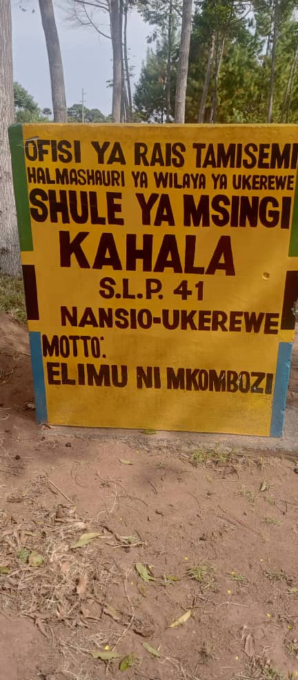 Desk Repairs in Ukerewe Island