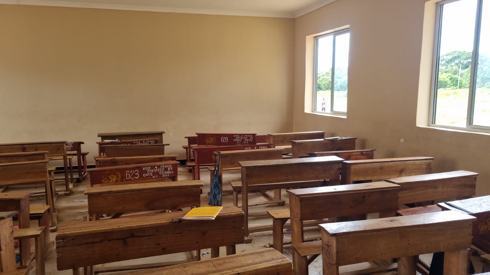 Desk Repairs in Ukerewe Island