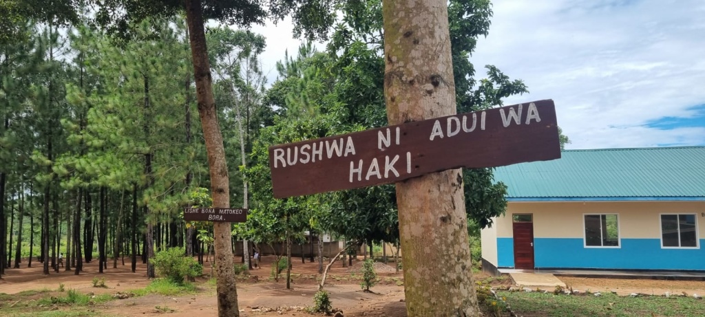 Desk Repairs in Ukerewe Island